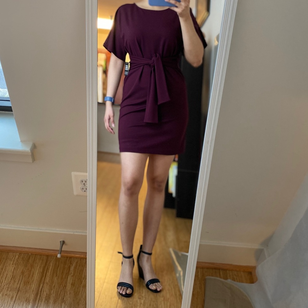 Express Dolman Dress